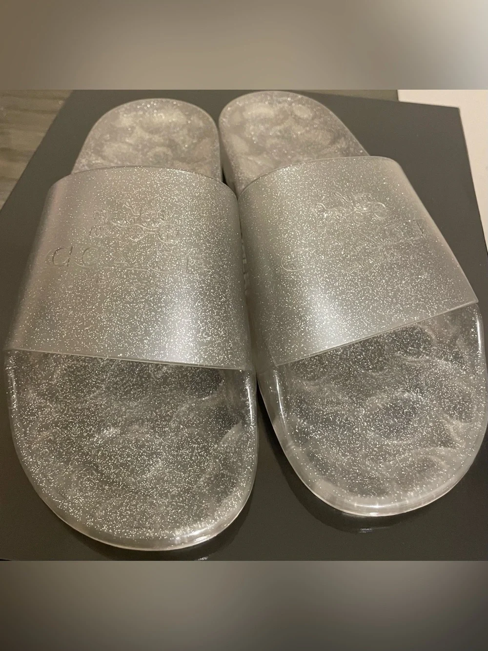 Coach Clear Glitter Slide Sandals - Silver